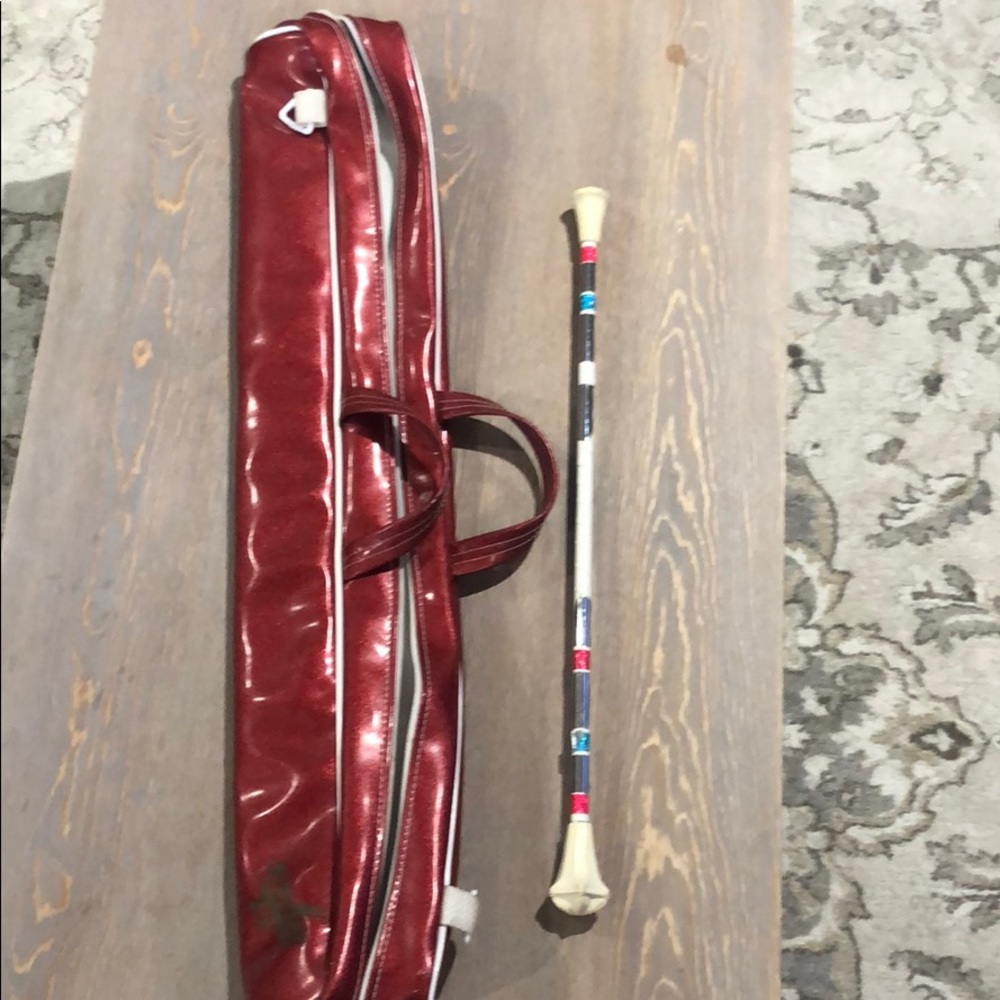 Baton carrier bag and baton